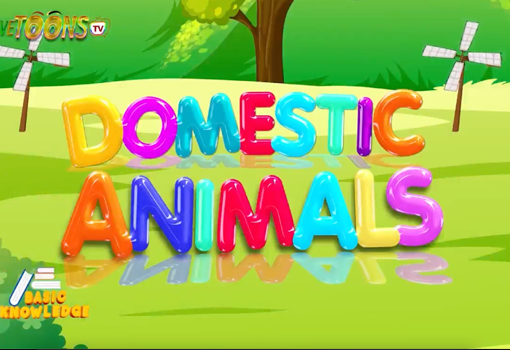 Domestic Animals