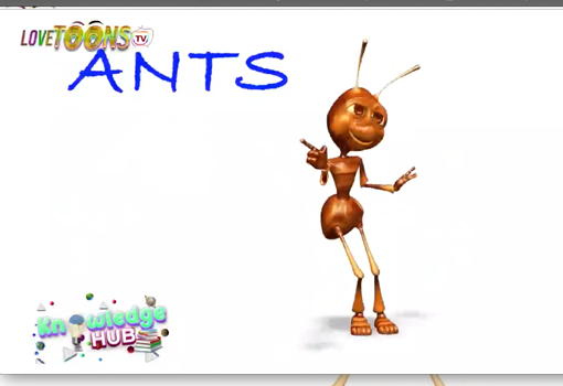 Ants