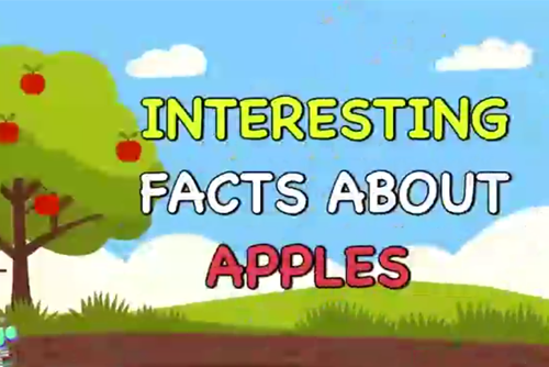 Intresting Facts about Apple