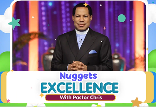 Nuggets for Excellence