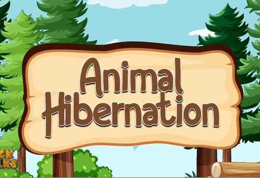 Animal Hibernation