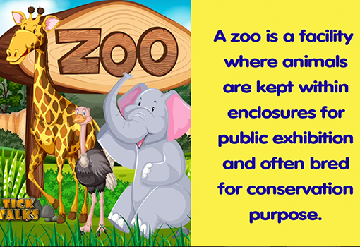 The Zoo